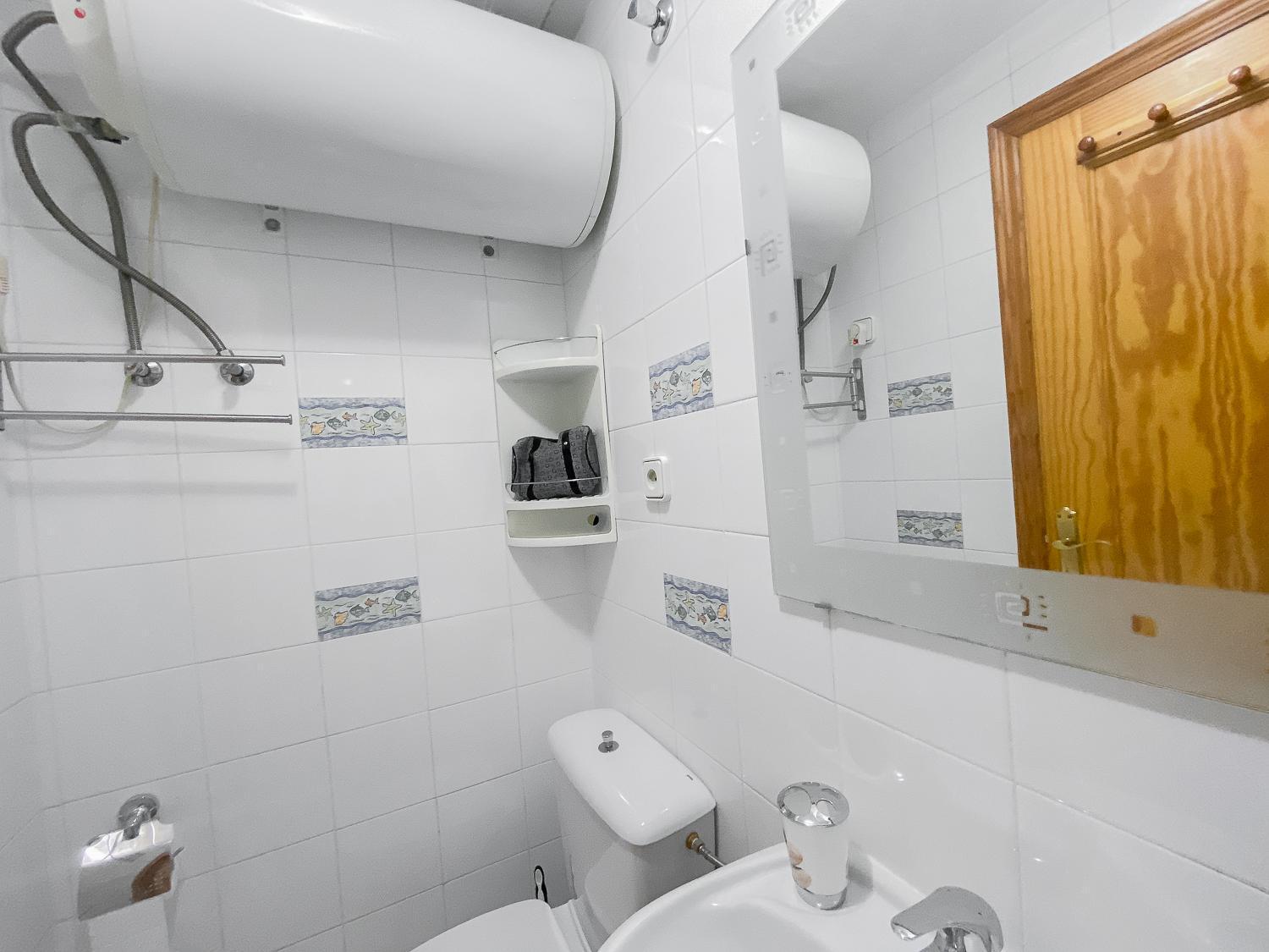 Estudio Plaza San Cristobal Lejlighed Alicante Eksteriør billede